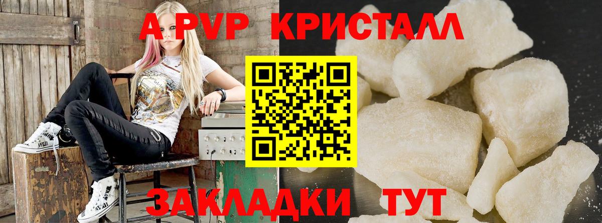 APVP СК Асино