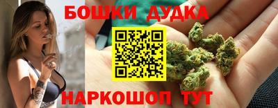 jwh Будённовск