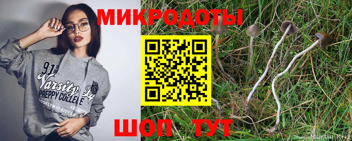 Галлюциногенные грибы MAGIC MUSHROOMS  Вход с VPN  Асино 
